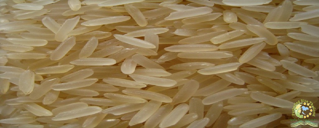Thai Parboiled Rice 100% Sortex 1