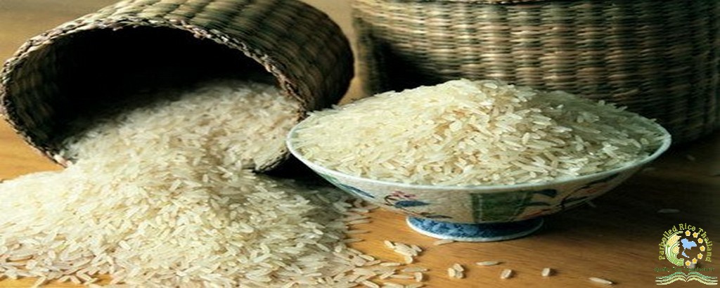 Thai Jasmine Rice 1