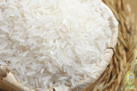 White Rice 10% Broken