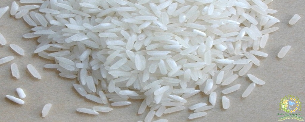 White Rice 15% broken  1